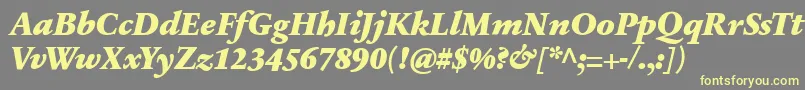 SabonnextLtBlackItalic-fontti – keltaiset fontit harmaalla taustalla
