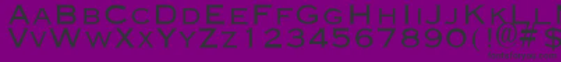 EngraverLight Font – Black Fonts on Purple Background