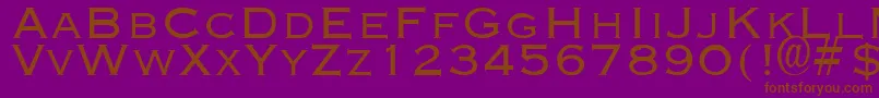 EngraverLight Font – Brown Fonts on Purple Background