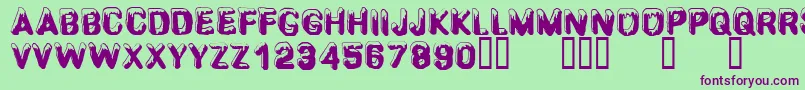 CfsnowballRegular Font – Purple Fonts on Green Background