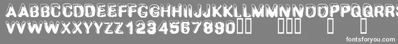 CfsnowballRegular-Schriftart – Weiße Schriften auf grauem Hintergrund
