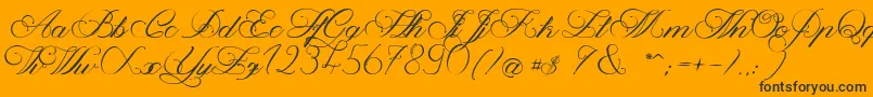 MagnoliaLight-Schriftart – Schwarze Schriften auf orangefarbenem Hintergrund