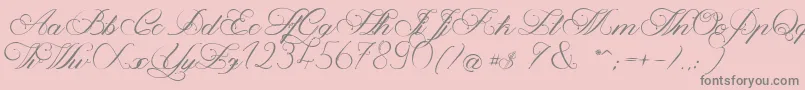 MagnoliaLight Font – Gray Fonts on Pink Background