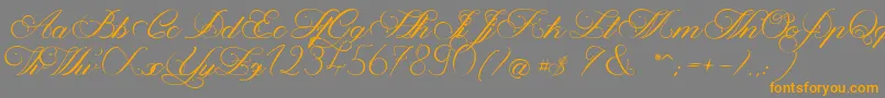 MagnoliaLight-Schriftart – Orangefarbene Schriften auf grauem Hintergrund