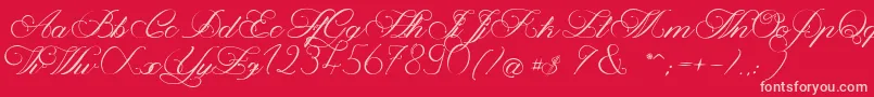 MagnoliaLight Font – Pink Fonts on Red Background