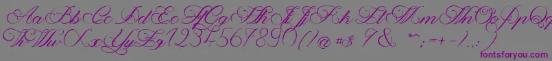 MagnoliaLight Font – Purple Fonts on Gray Background