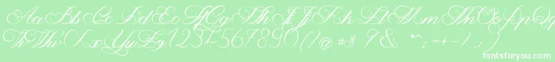 フォントMagnoliaLight – 緑の背景に白い文字