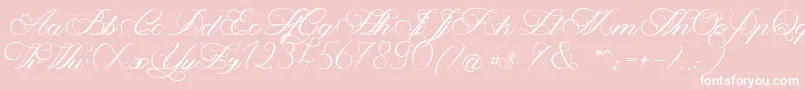 MagnoliaLight Font – White Fonts on Pink Background