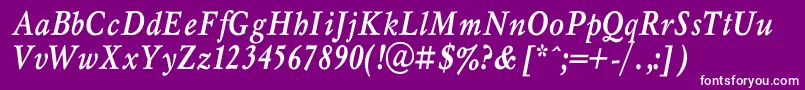 MyslnarrowcBolditalic Font – White Fonts on Purple Background