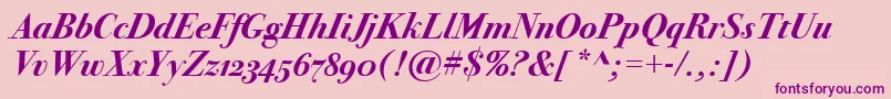 BodoniSvtytwoOsItcTtBoldit Font – Purple Fonts on Pink Background