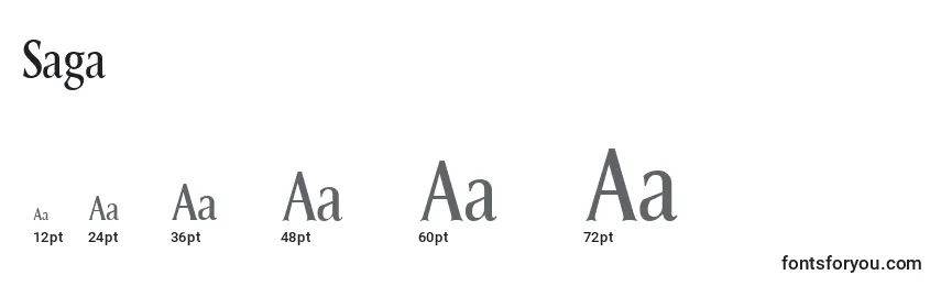 Размеры шрифта Saga