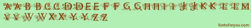 Flowersinitials Font – Brown Fonts on Green Background