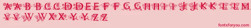 Flowersinitials Font – Red Fonts on Pink Background