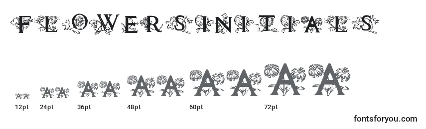 Размеры шрифта Flowersinitials