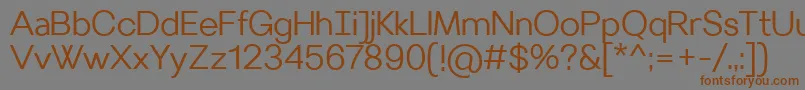 VilleraySemilight Font – Brown Fonts on Gray Background