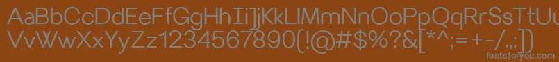 VilleraySemilight Font – Gray Fonts on Brown Background
