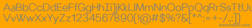VilleraySemilight Font – Gray Fonts on Orange Background