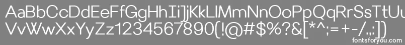 VilleraySemilight Font – White Fonts on Gray Background