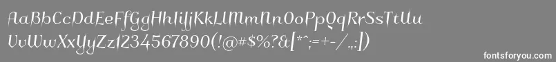 フォントCharakterny – 灰色の背景に白い文字