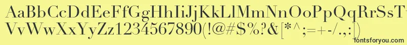 DidotltstdRoman Font – Black Fonts on Yellow Background