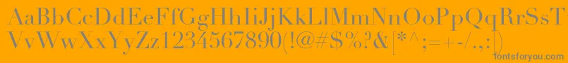 DidotltstdRoman Font – Gray Fonts on Orange Background