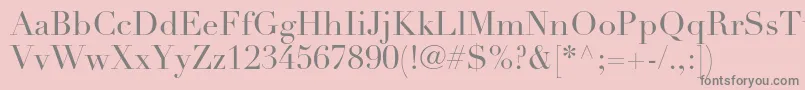 DidotltstdRoman Font – Gray Fonts on Pink Background