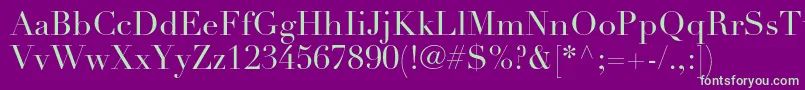 DidotltstdRoman Font – Green Fonts on Purple Background