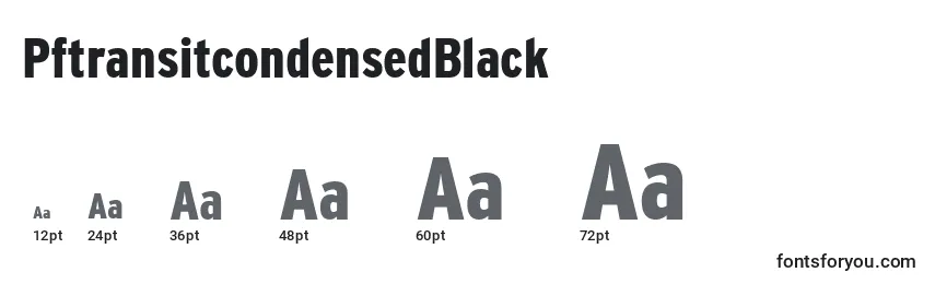 PftransitcondensedBlack Font Sizes