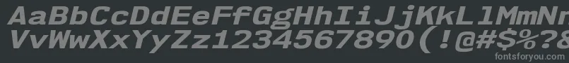 Nk57MonospaceExEbIt Font – Gray Fonts on Black Background