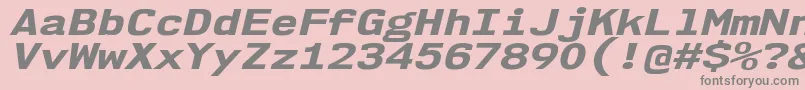 Nk57MonospaceExEbIt Font – Gray Fonts on Pink Background