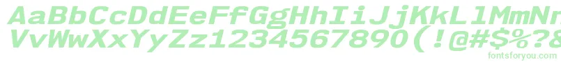 Nk57MonospaceExEbIt Font – Green Fonts