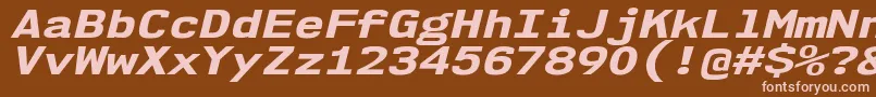 Nk57MonospaceExEbIt Font – Pink Fonts on Brown Background