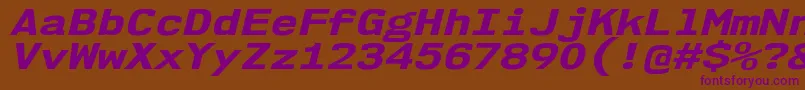 Nk57MonospaceExEbIt Font – Purple Fonts on Brown Background