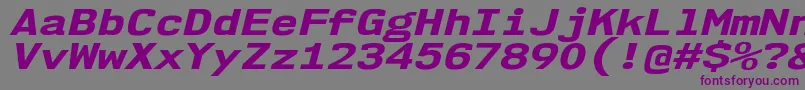 Nk57MonospaceExEbIt Font – Purple Fonts on Gray Background