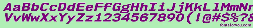 Nk57MonospaceExEbIt Font – Purple Fonts on Green Background