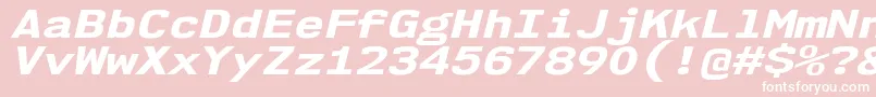 Nk57MonospaceExEbIt Font – White Fonts on Pink Background