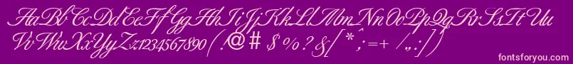 BestdbBold Font – Pink Fonts on Purple Background