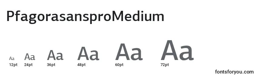 Размеры шрифта PfagorasansproMedium