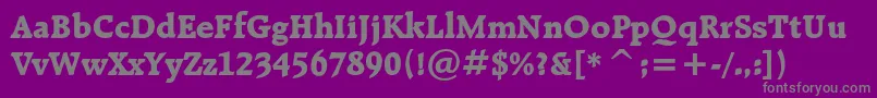 Police Raleighextraboldcbt – polices grises sur fond violet