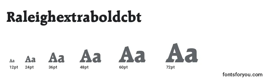 Raleighextraboldcbt font sizes