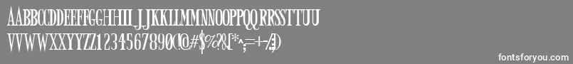 フォントArmyOfDarkness – 灰色の背景に白い文字