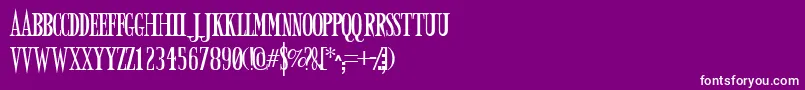 フォントArmyOfDarkness – 紫の背景に白い文字