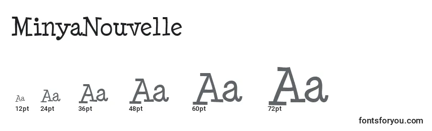 Размеры шрифта MinyaNouvelle
