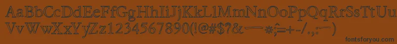 HiraKatakanaWHollow Font – Black Fonts on Brown Background