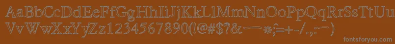 HiraKatakanaWHollow Font – Gray Fonts on Brown Background