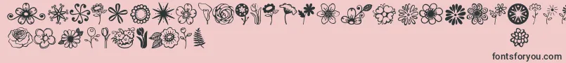 Fonte Janda Flower Doodles – fontes pretas em um fundo rosa