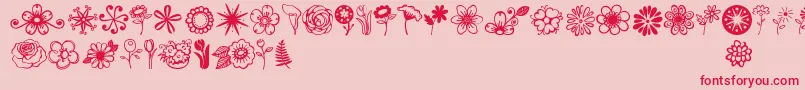 Janda Flower Doodles Font – Red Fonts on Pink Background