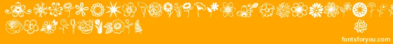 Janda Flower Doodles Font – White Fonts on Orange Background