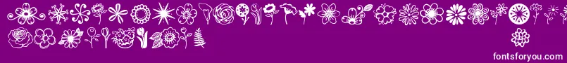 fuente Janda Flower Doodles – Fuentes Blancas Sobre Fondo Morado