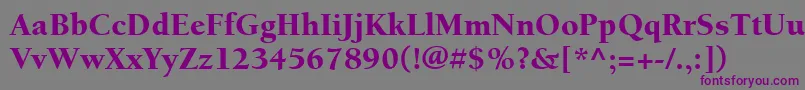 ItcBerkeleyOldstyleLtBlack Font – Purple Fonts on Gray Background